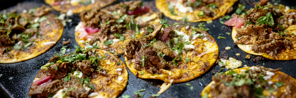 Mallard birria tacos