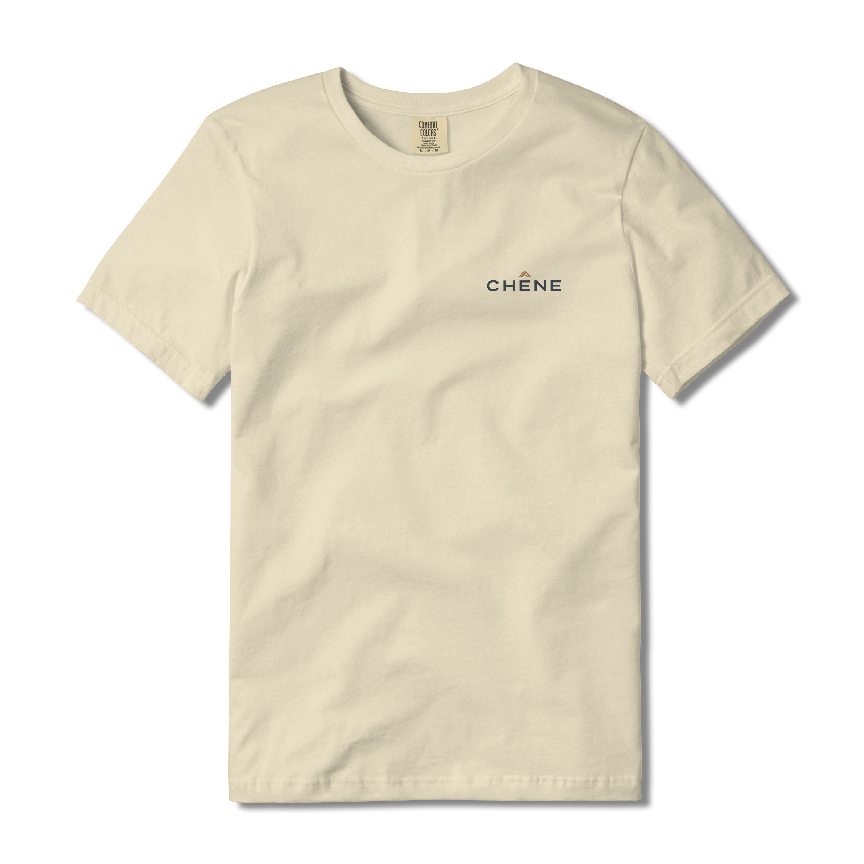 Old School Goose Tee S/S