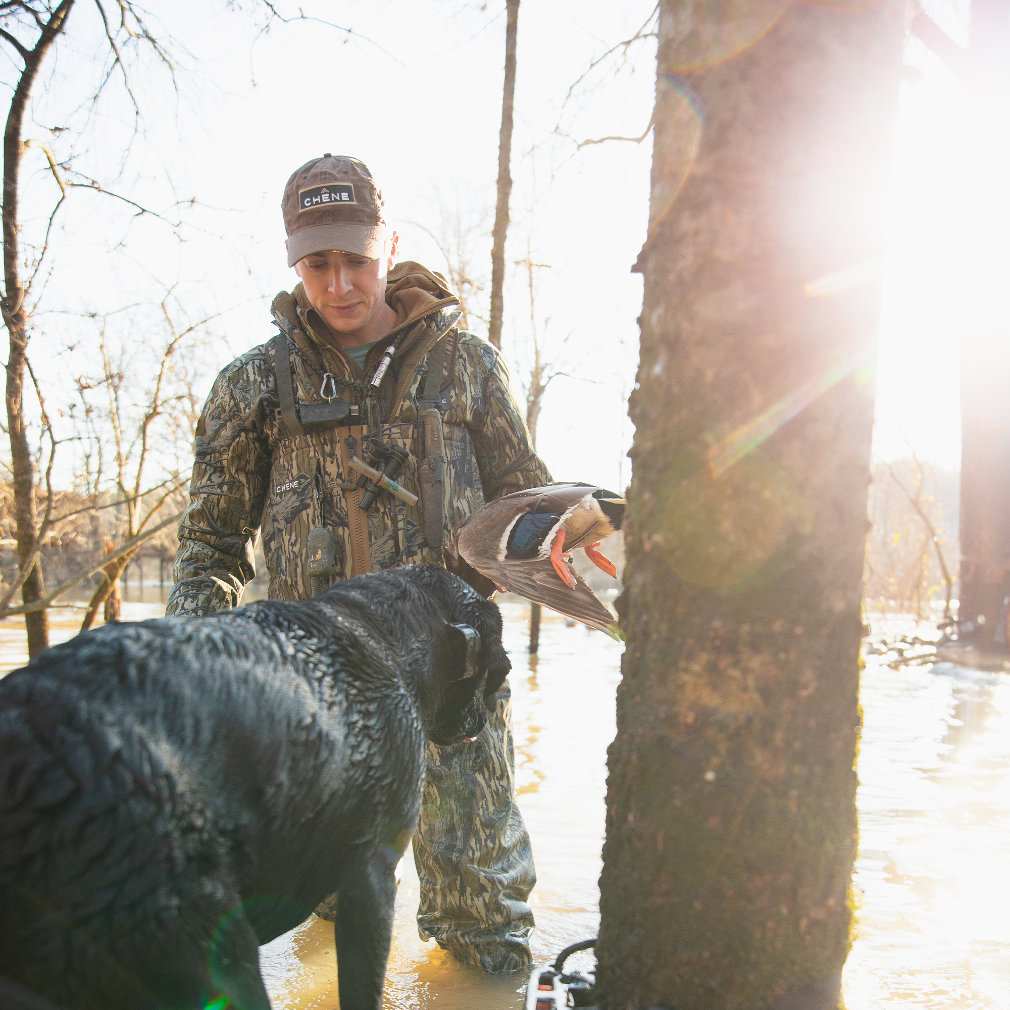 #mossy_oak_original_treestand