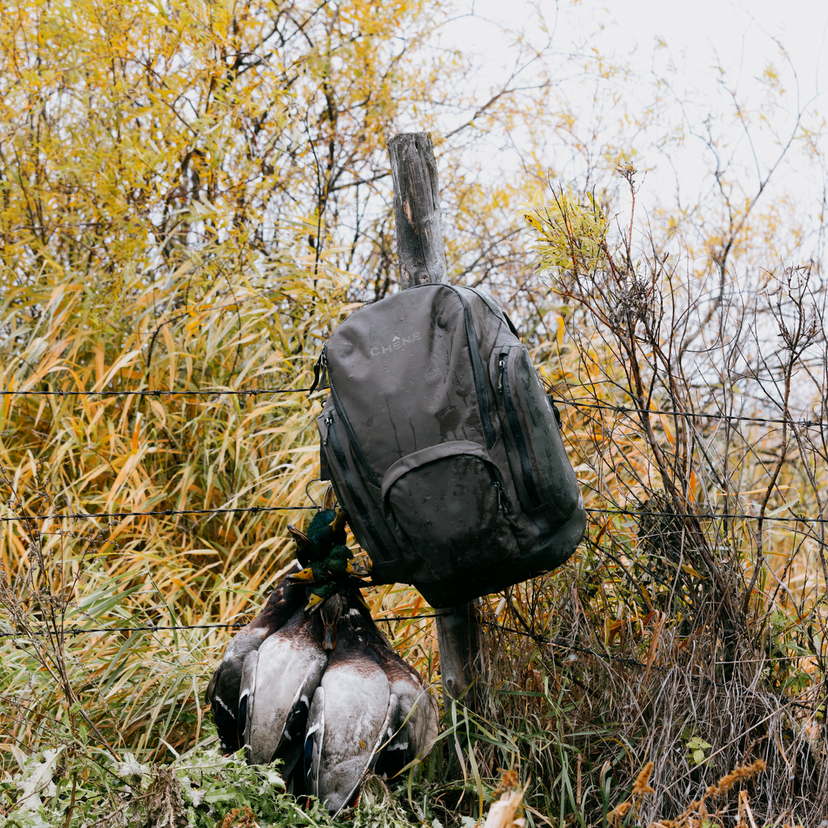 Chêne Gear Delta Pack in Cypress hanging from a fence