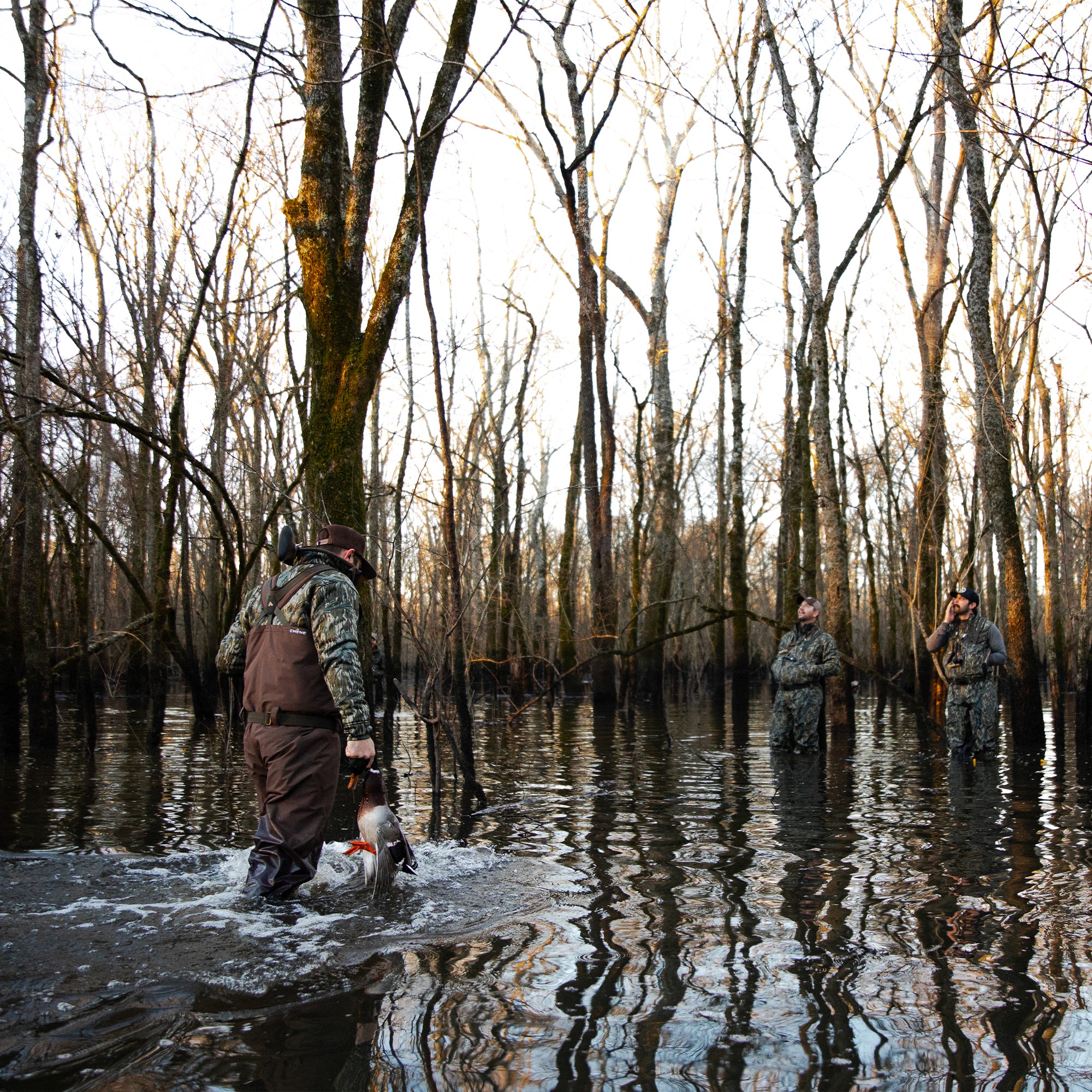 Chêne Gear Solid Brown Waders