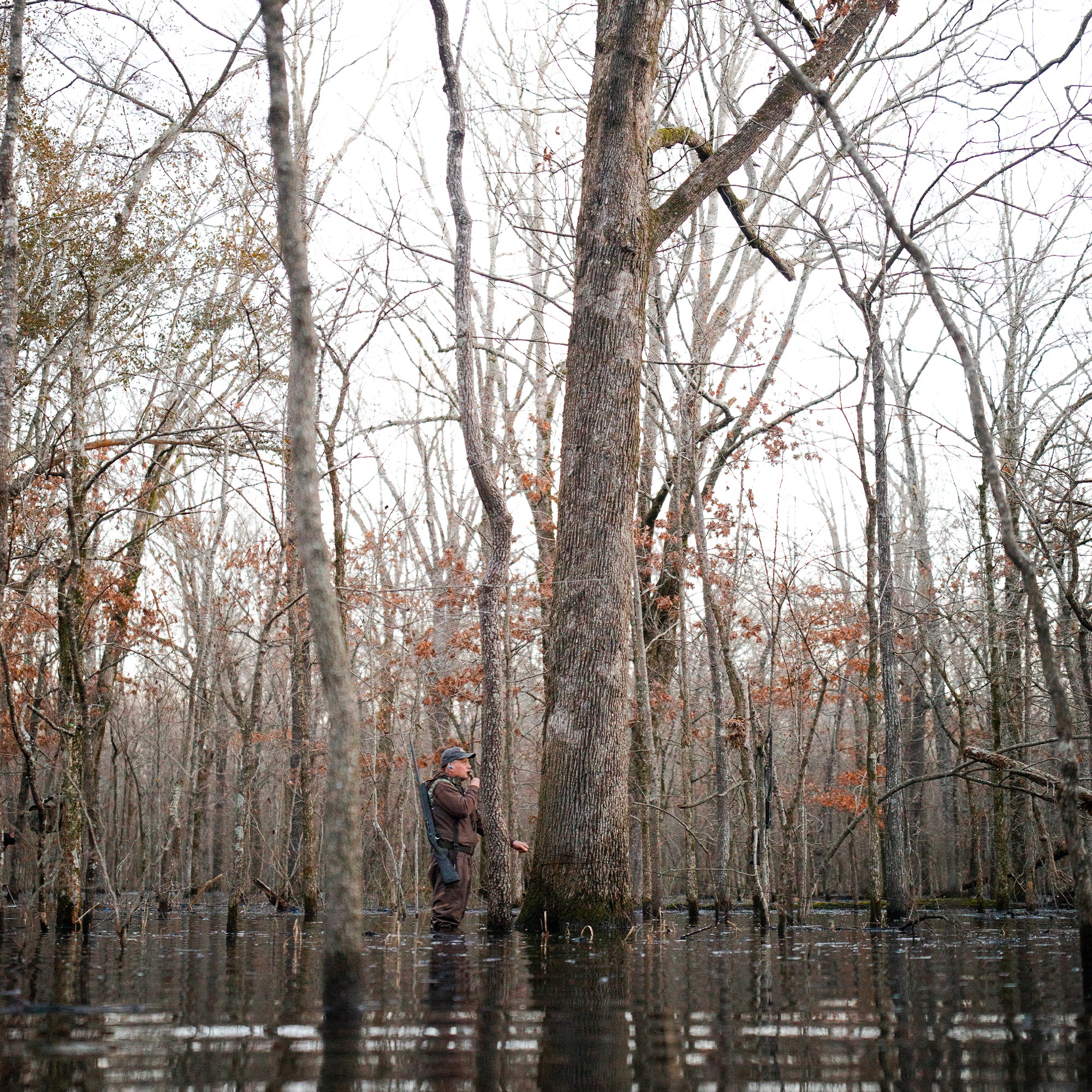 Chêne Gear Solid Brown Waders