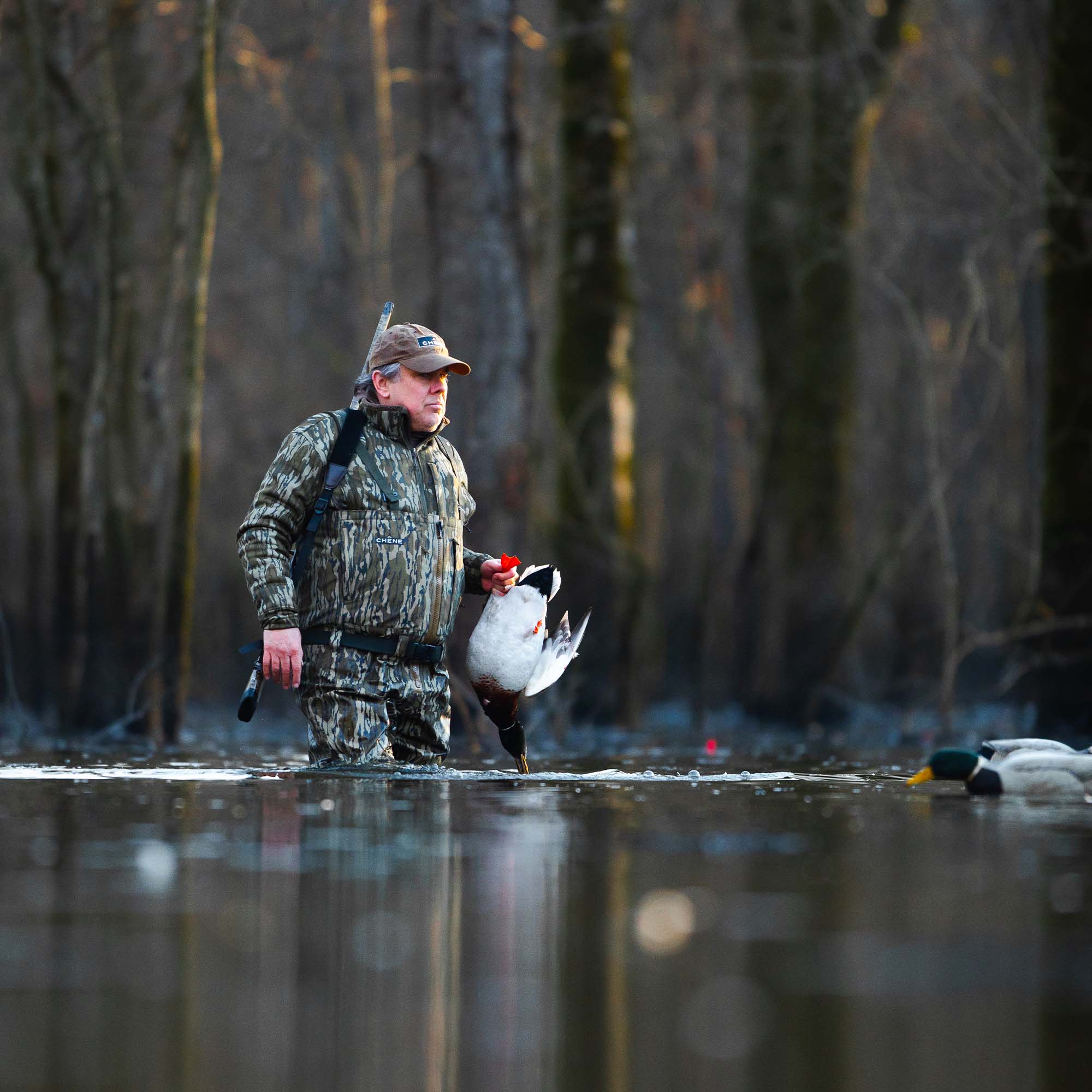 #color_mossy oak original bottomland