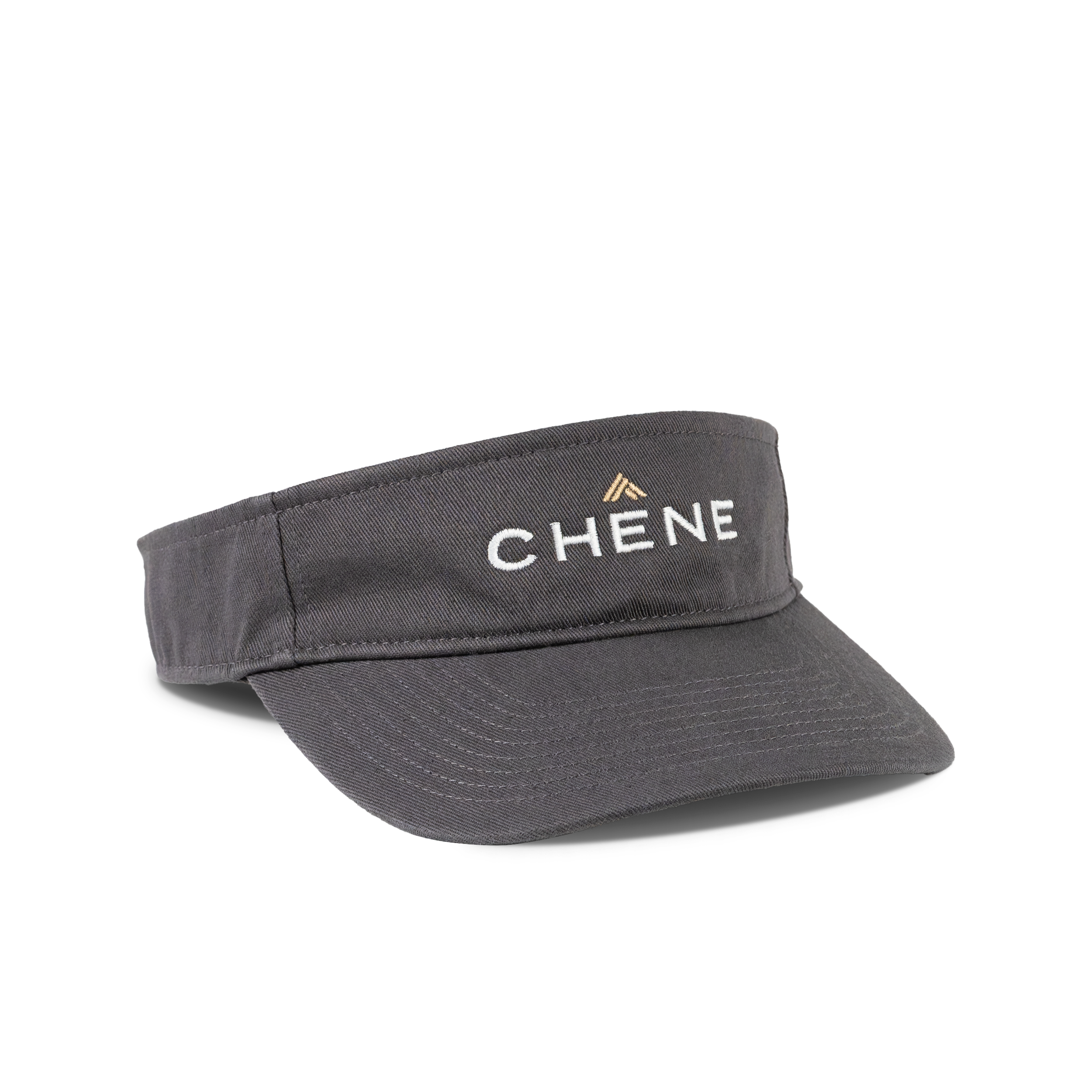 Logo Visor