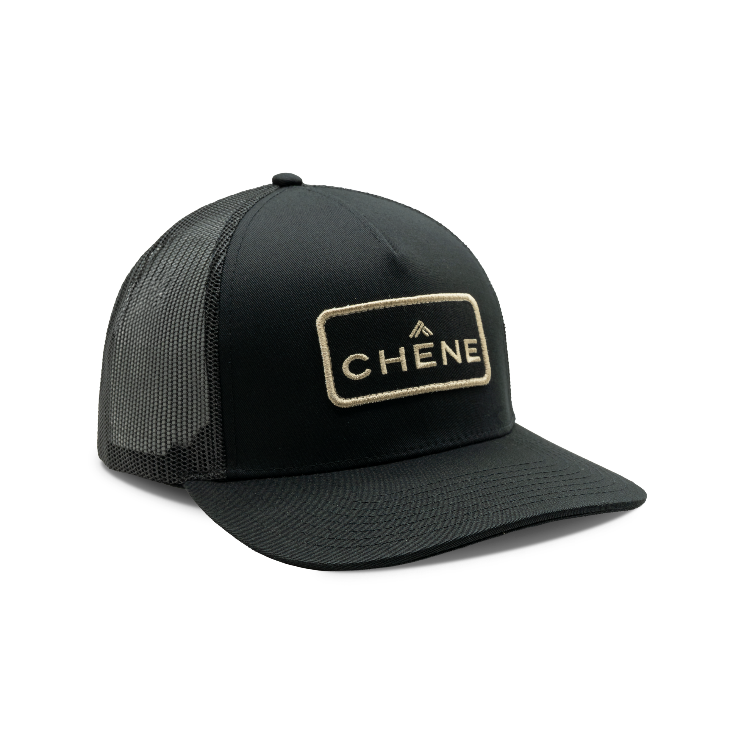 5-Panel Logo Patch Cap in Black, front view #black