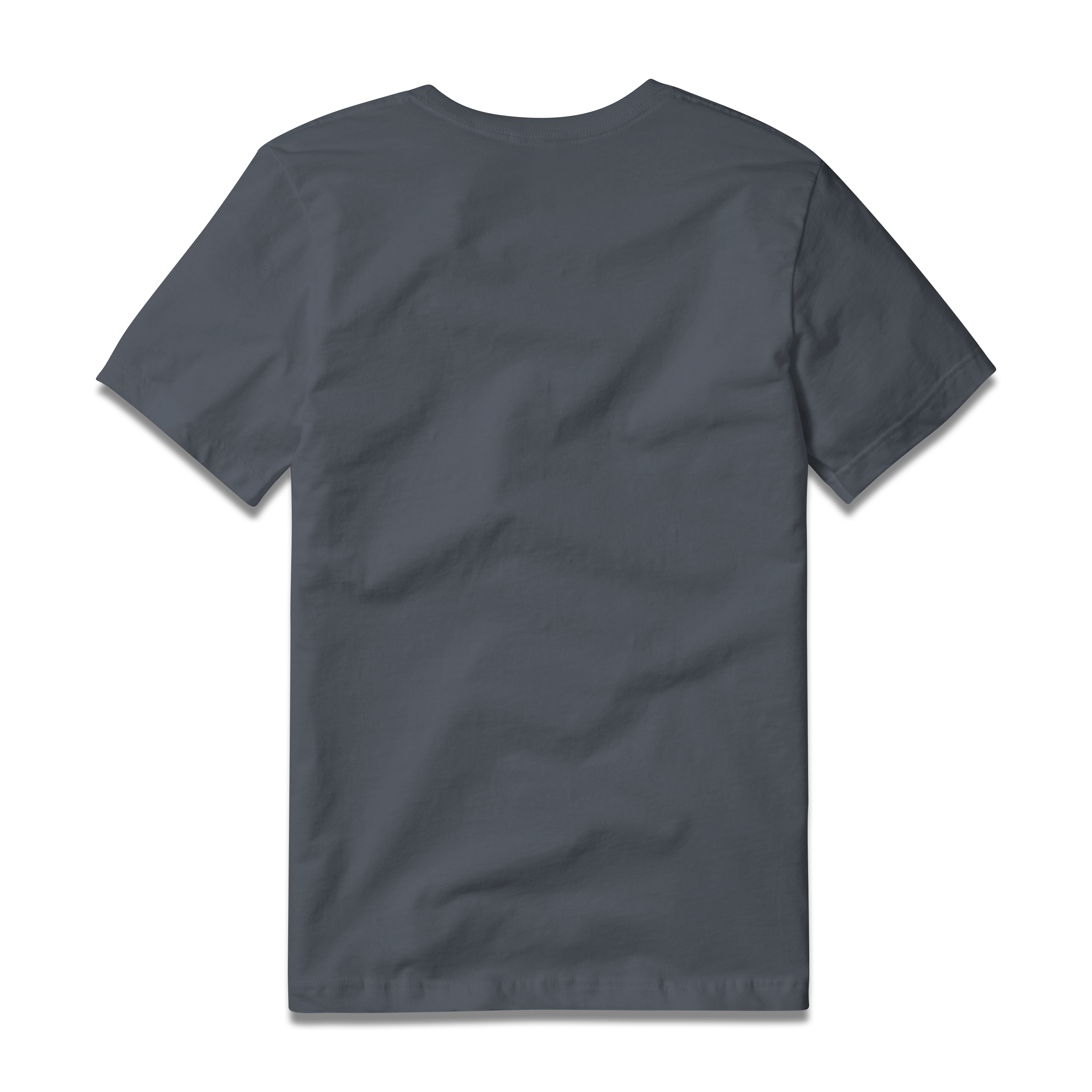 Logo Tee S/S in Denim, back view #denim