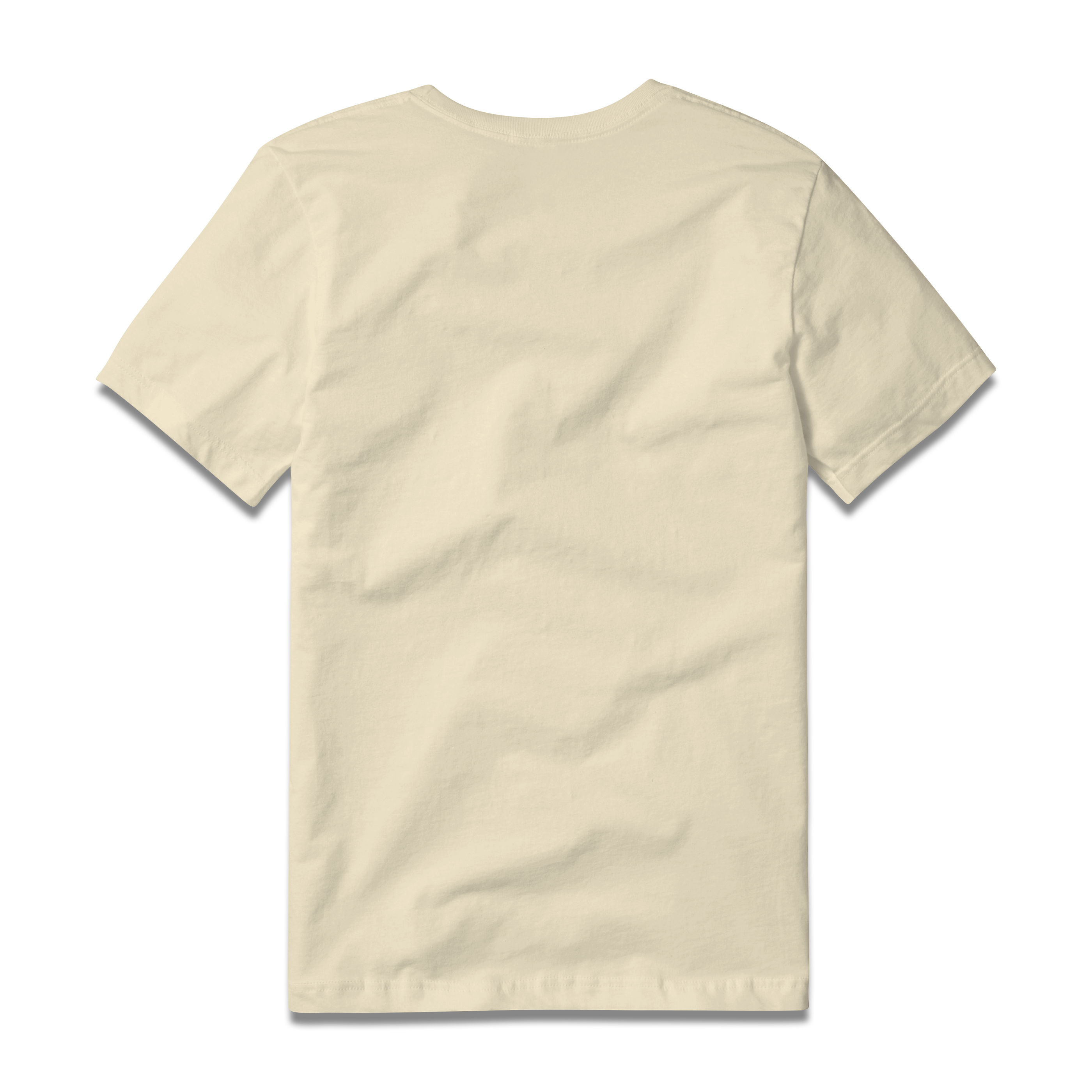 Logo Tee S/S in Ivory, back view #ivory