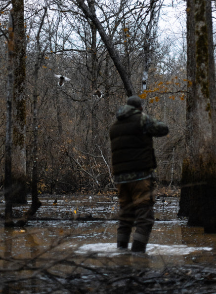 Timber duck hunting in Chêne Gear